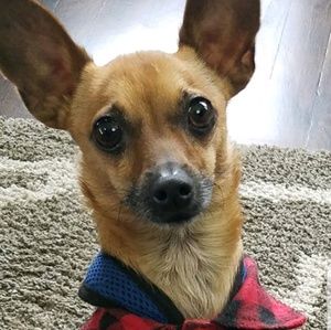 Meet your Posher, Tyree